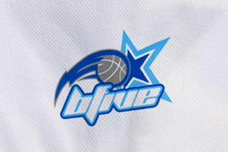 Team logo